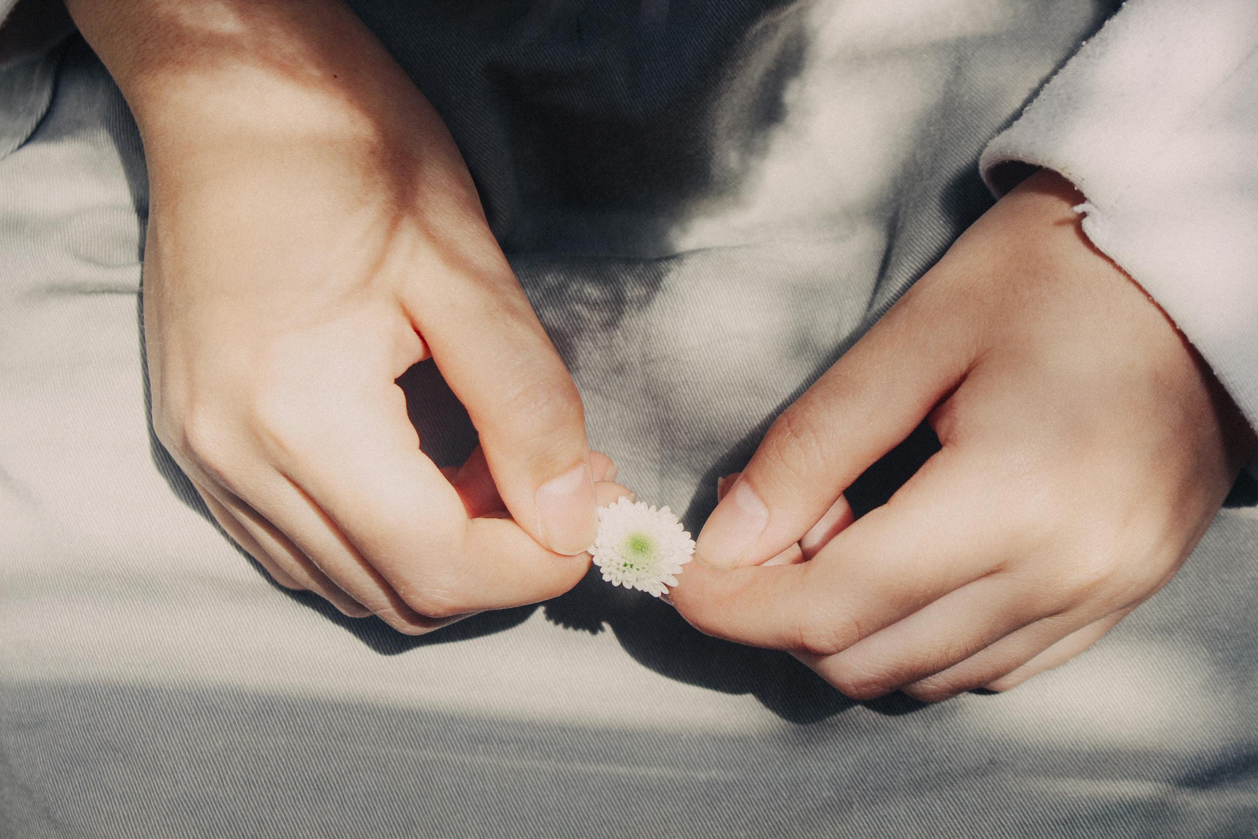 Close-up of hands holding a small white flower, bathed in soft sunlight and shadows.